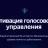 Активация голосового управления - безлимитное пользование